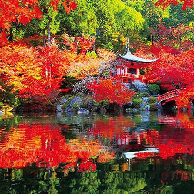 ジグソーパズル 1000ピース（ ジグソー日本の風景 秋に色づく醍醐寺