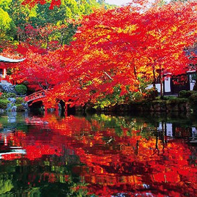 ジグソーパズル 1000ピース（ ジグソー日本の風景 秋に色づく醍醐寺