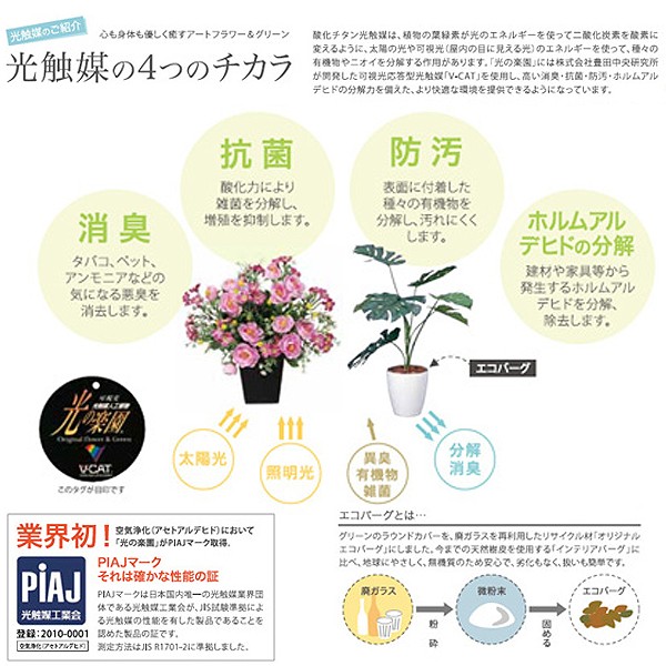 光触媒フラワーアレンジ「エレガント胡蝶蘭5本立てL」 (人工観葉植物 造花 フェイクフラワー インテリア V-CAT お部屋 廊下 オフィス)_5