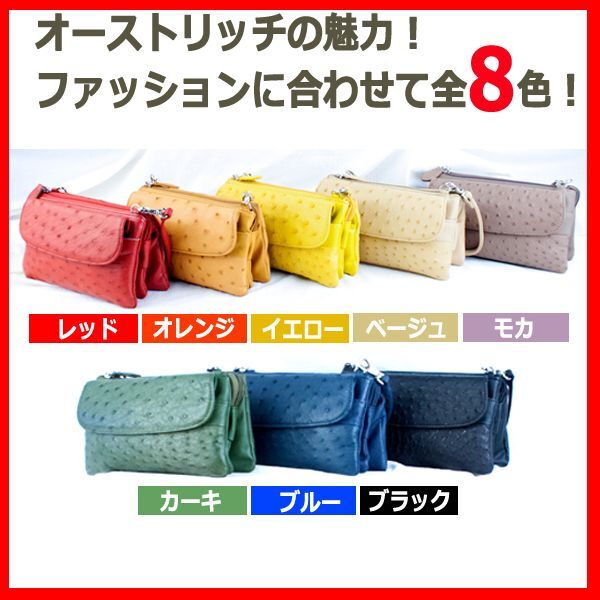 Costoroma[コストローマ]オーストリッチポーチウォレット (クラッチ 