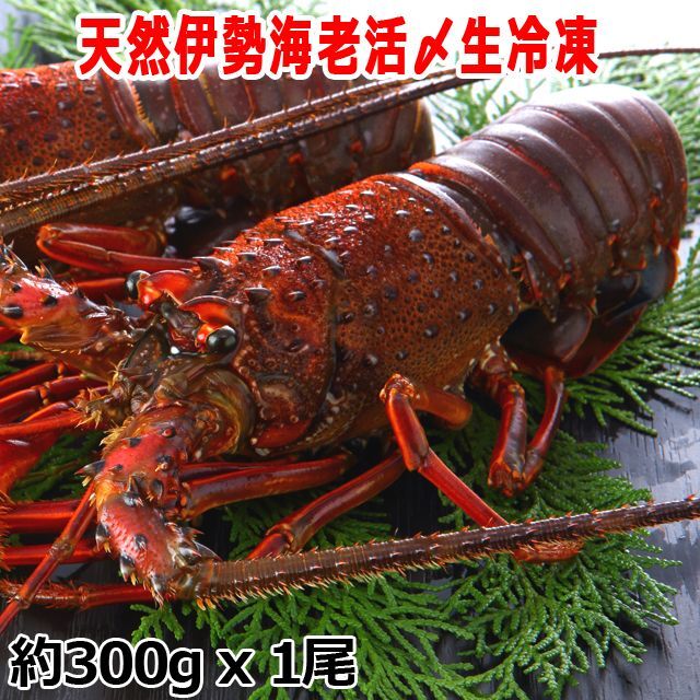 食の宝石！食通うなる至高の味！豪華グルメBOX (高級食材セット グルメギフト お歳暮 お中元)_2