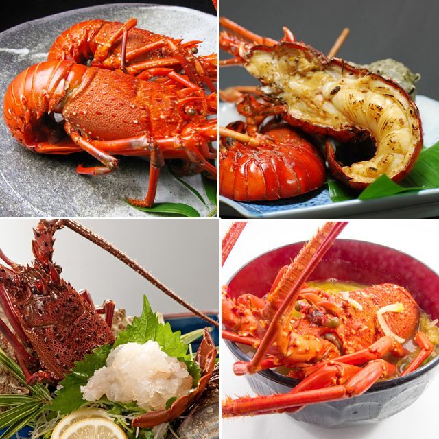 食の宝石！食通うなる至高の味！豪華グルメBOX (高級食材セット グルメギフト お歳暮 お中元)_3