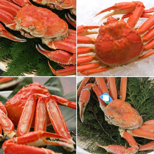 食の宝石！食通うなる至高の味！豪華グルメBOX (高級食材セット グルメギフト お歳暮 お中元)_5