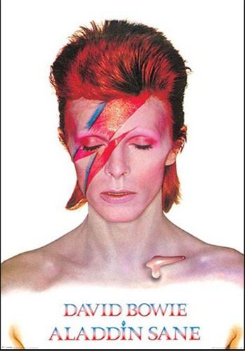 デヴィッドボウイ　ポスター デヴィッド・ボウイ ポスター(DAVID BOWIE/ロック/カリスマ/偉大なる