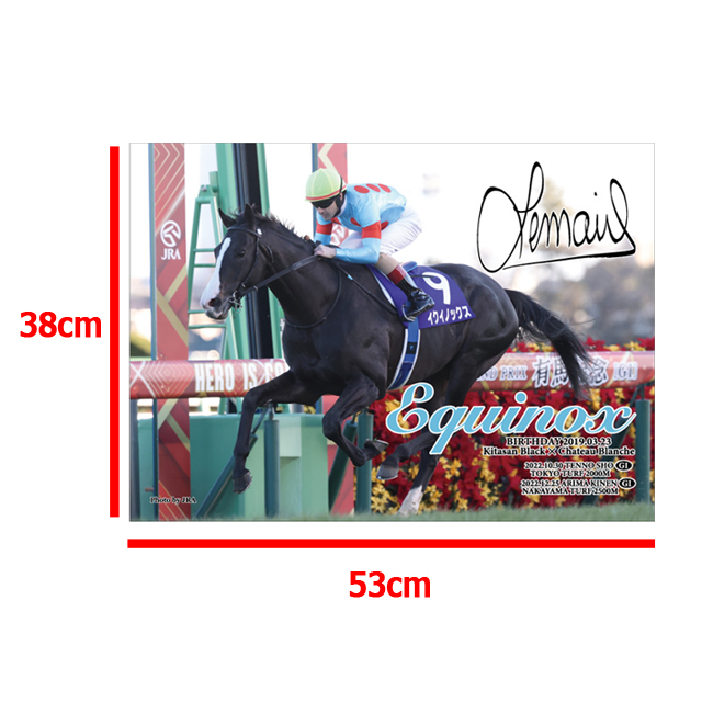 イクイノックス　鬣　たてがみ　2022有馬記念優勝　C・ルメール騎手直筆サイン 有馬記念】イクイノックス6戦目でV ルメールはクリスマス開催
