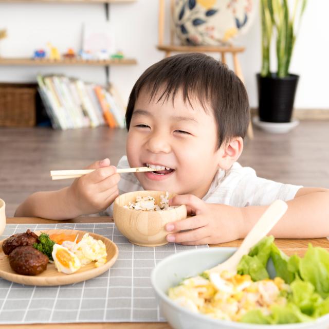 agney アグニー お食い初め 食器セット みやび 6点セット 天然素材 日本製 食洗器対応 AG-127MY_3