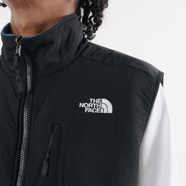 ノースフェイス THE NORTH FACE ベスト フリース デナリ メンズ DENALI VEST ブルー NF0A7UR4_4