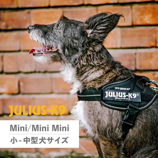 ユリウスk9 ハーネス Mini-Mini