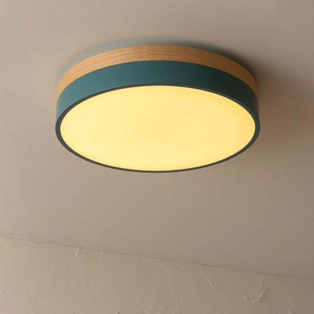 BRID ブリッド シーリングライト 照明器具 調光 調色 LED内蔵 リモコン付き Olika LED CEILING LIGHT Ver.2 003371_5