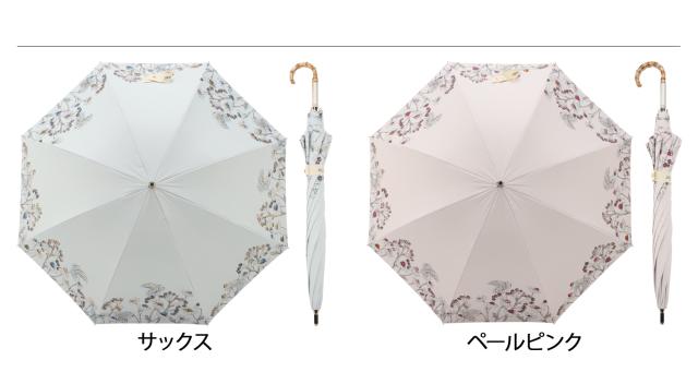 ジル スチュアート JILL STUART 日傘 長傘 晴雨兼用 軽量 レディース 50cm UVカット 遮熱 1JI 23064_2