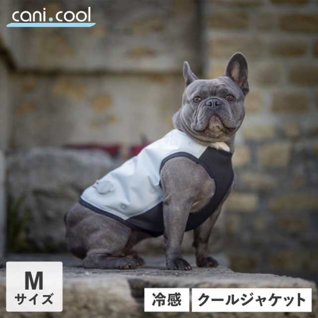 CANI COOL カニクール 犬 ひんやり グッズ 夏服 ドッグウェア Mサイズ 散歩 保冷 冷感 暑さ 熱中症対策 ペット グレー