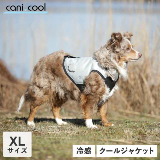 CANI COOL カニクール 犬 ひんやり グッズ 夏服 ドッグウェア XLサイズ 散歩 保冷 冷感 暑さ 熱中症対策 ペット グレー