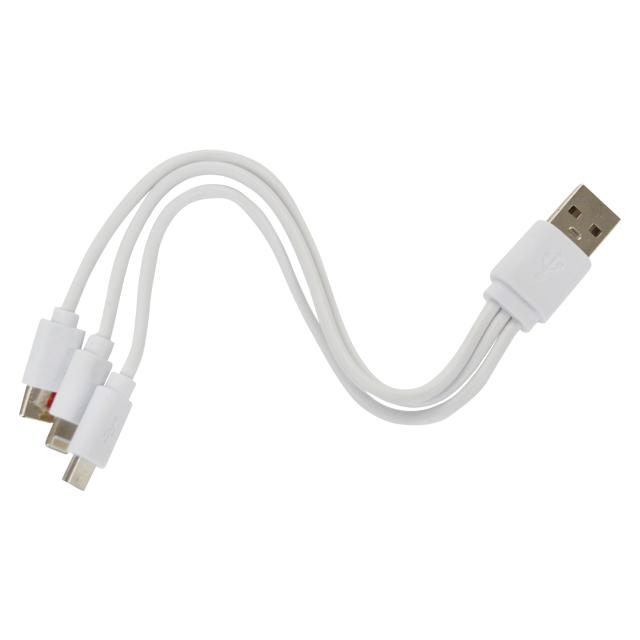 EVERBright エバーブライト ポータブル電源 蓄電池 充電器 充電機 発電機 大容量 24000mAh ソーラーパネル対応 PC 照明 SSBFMPS