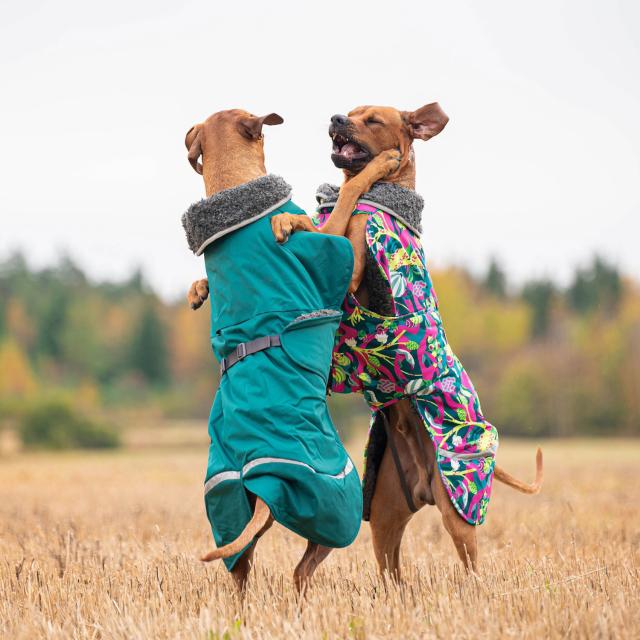 Pomppa(ポムッパ) ユンパ ポムッパ グリーン 75 Pomppa(ポムッパ) ユンパ ポムッパ グリーン 75