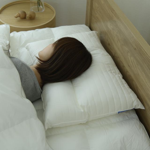 ダンフィル Danfill 枕 首枕 寝具 フレッシュ ネックピロー 洗える 丸洗い対応 通気 ホテル仕様 ウォッシャブル JPA211