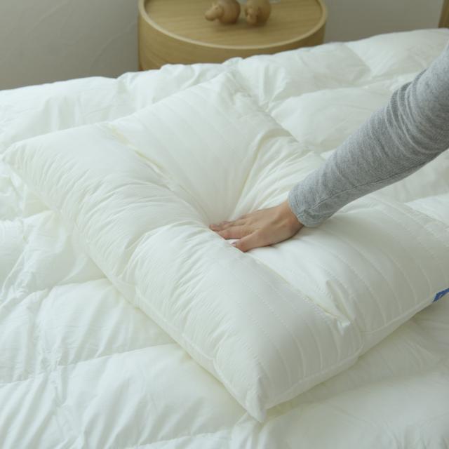 ダンフィル Danfill 枕 首枕 寝具 フレッシュ ネックピロー 洗える 丸洗い対応 通気 ホテル仕様 ウォッシャブル JPA211