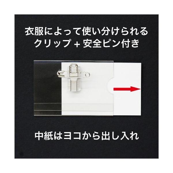 キンメツゲ　生垣用　10本セット　根巻【トピアリー/生垣/垣根/目隠し】 キンメツゲ 生垣用 10本セット 根巻【トピアリー/生垣/垣根/目隠し】