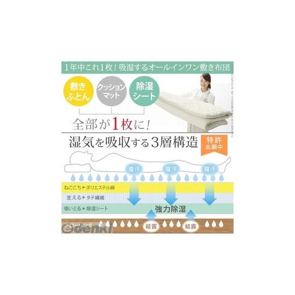 【個数：1個】U0100172 直送 代引不可・他メーカー同梱不可 吸湿する1枚で寝られるオールインワン敷布団 〔カラリフトン〕 シングル_1