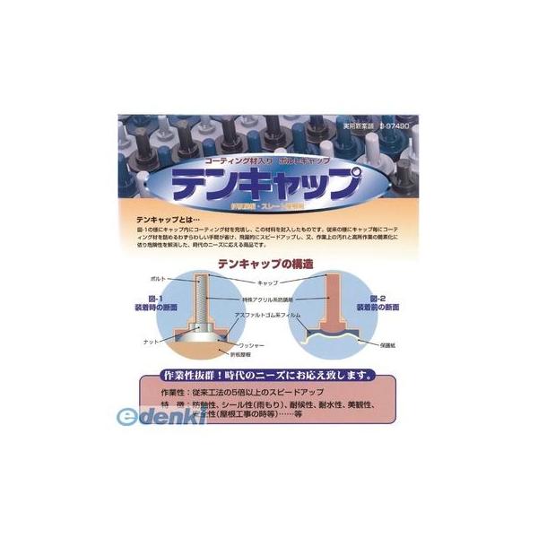 ヒロセ産業 TENCAP-10-G【100】 テンキャップ 10mm 色：グレー 充填材入りボルトキャップ【100個入】 TENCAP10G【100】