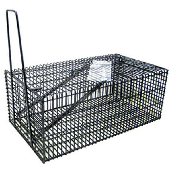 コンパル  4935682030662 ウルトラ捕獲器【LL】 ウルトラ捕獲器ブラック アサノヤ産業