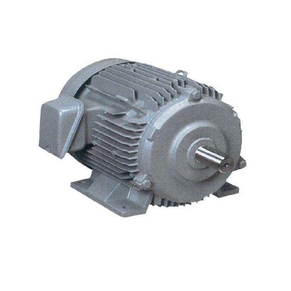 日立　100V モーター 0.2ｋＷ 4P 日立置きモーター100v200w4ポール 日東電工 単相 モータ 0.2KW 200W