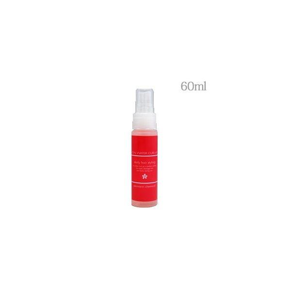 4525450021963 【36個入】イオン・ウォーター カールアップ 60ml 27865【キャンセル不可】 パーマリンケミカル