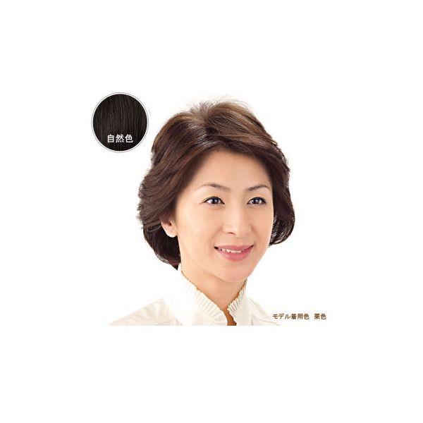 4560205150536 おしゃれヘアピース HPN−130A自然色 27558【キャンセル不可】 部分ウィッグコレクション