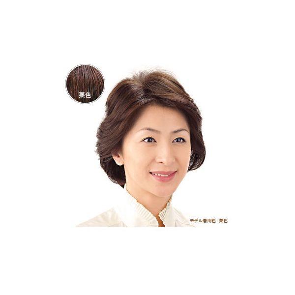 4560205150543 おしゃれヘアピース HPN−130A栗色 27566【キャンセル不可】