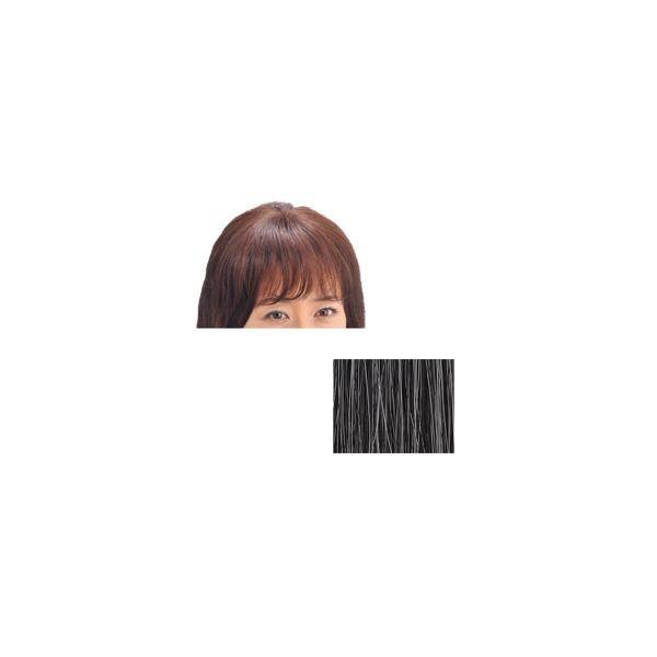 4560205150789 モアヘアピース MH−10白髪30％ 27556【キャンセル不可】 部分ウィッグコレクション