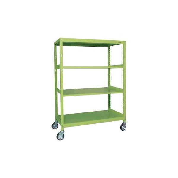 ブラヘア カルカレア シルバー 15号鉢つき 特大レア株❗売り切り特価