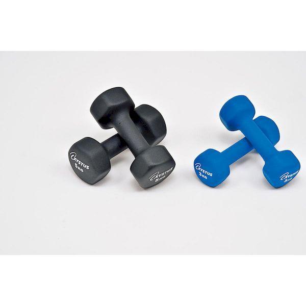 トーエイライト TOEI LIGHT 4518891266024 ラバーコートダンベル5 H7174 H-7174 5kg