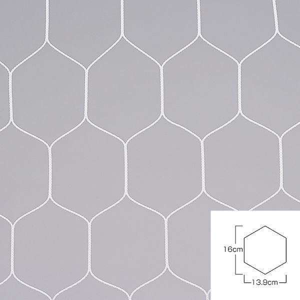 エバニュー EVERNEW 4934048610708 ジュニアサッカーゴールネット亀甲J114 EKD849