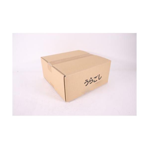 【1個入】4949362048922 カンダ 木枠ST張り裏ごし 荒目 9寸 KND-048092 ステン張り うらごし 裏ごし器 業務用_2
