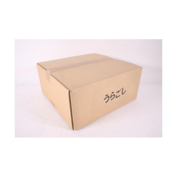 【1個入】4949362049097 カンダ 木枠絹漉 ナイロン 尺 KND-049009 裏ごし器 うらごし 濾し器 本絹漉 業務用_2