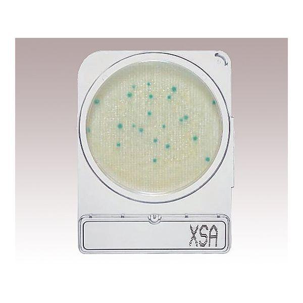 アズワン 2-8998-02 パウダーコンパクト素っ気ない 06729 X−SA【1箱(4枚×10袋入)】 2899802