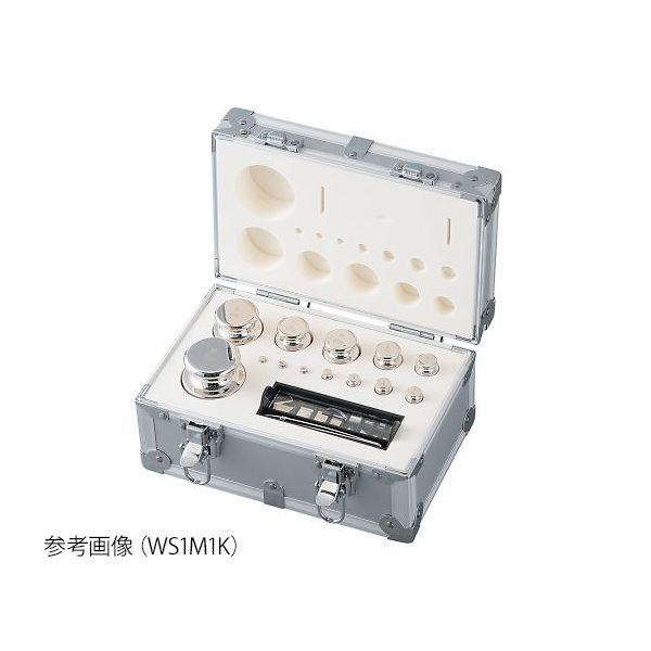 アズワン 3-9951-04 分銅セット WS1M100【1セット】 3995104