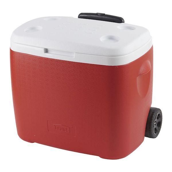 入浴施設用塩素剤 レジオハンター ミニタブレット60錠×10箱 レジオハンター ミニタブレット 風呂水専用塩素剤 60錠入り 浴室 公衆浴場 消毒 入浴施設用塩素剤 速溶性タイプ-殺虫剤 防虫剤 害虫駆除薬品専門店  イーライフ