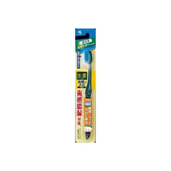 4987072043240 【96個入】 生葉歯間に入るブラシ レギュラー ふつう 94283【キャンセル不可】 23,329円