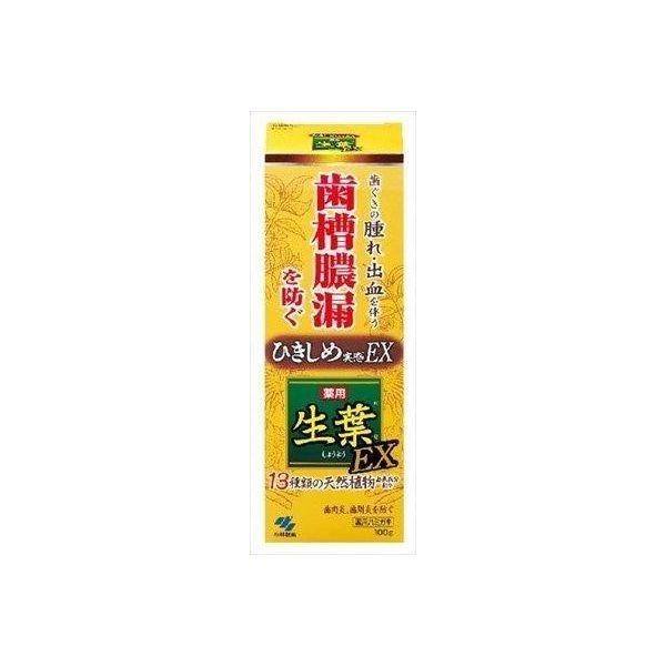 4987072038826 【48個入】 生葉EX100G 93295【キャンセル不可】 43,360円