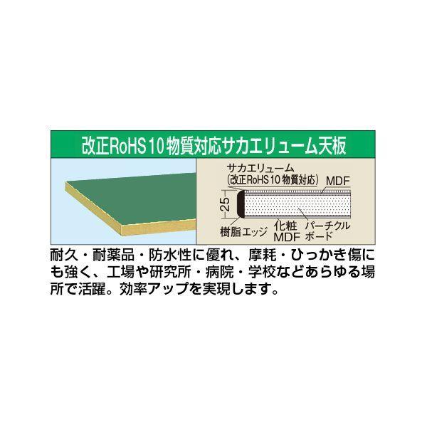 【個人宅配送不可】サカエ SAKAE CS-189FEN 直送 代引不可 中量作業台CSタイプ 改正RoHS 10物質対応／均等耐荷重500kg／H740／座り作業用 CS189FEN_1