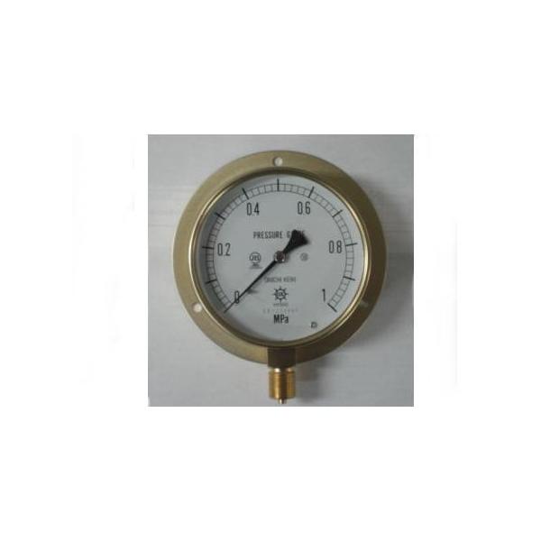 BS1/2-150:100MPA 第一計器製作所 IPT一般圧力計 BS1/2150:100MPAの通販は