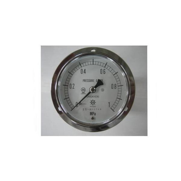 DVU3/8-75:1.6MPA 第一計器製作所 IPT一般圧力計 耐振用 DVU3/875:1.6MPA