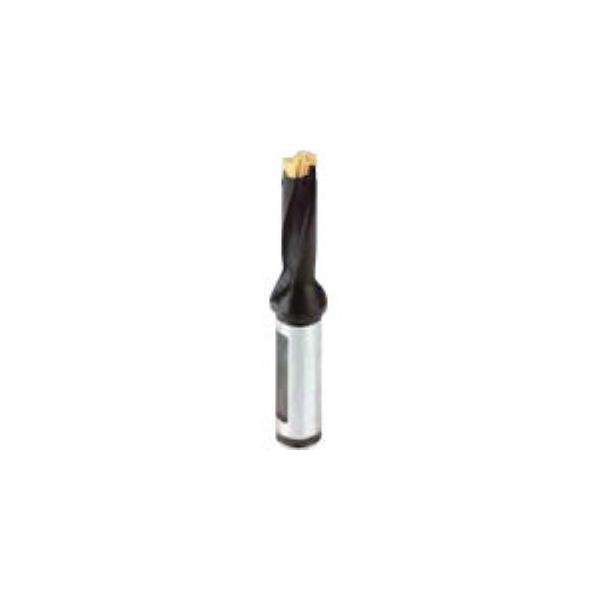 イスカル DCM 230-069-25A-3D Ｘ　カムドリル／ホルダ DCM23006925A3D 621-3618【キャンセル不可】