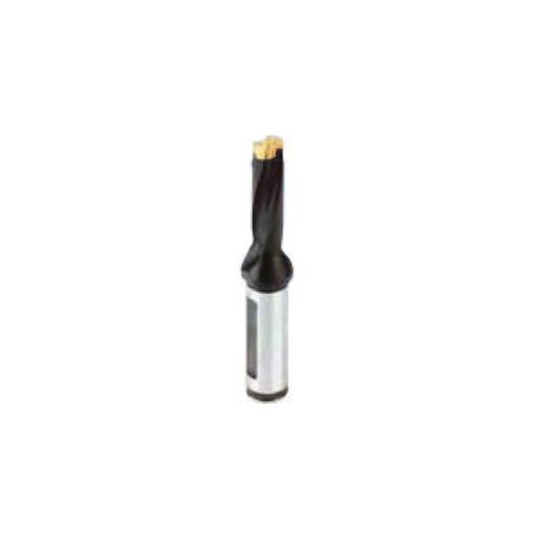 イスカル DCM190-095-25A-5D カムドリル用ホルダー DCM19009525A5D 251-2220【キャンセル不可】