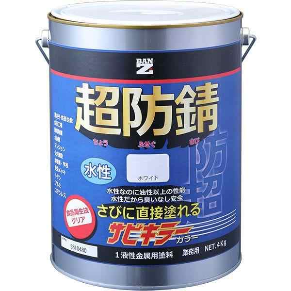 BAN-ZI 4562375770996 サビキラーカラ—4kg黒の通販は 18,697円