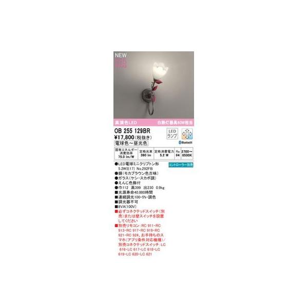 オーデリック ODELIC OB255129BR ランプ別梱包