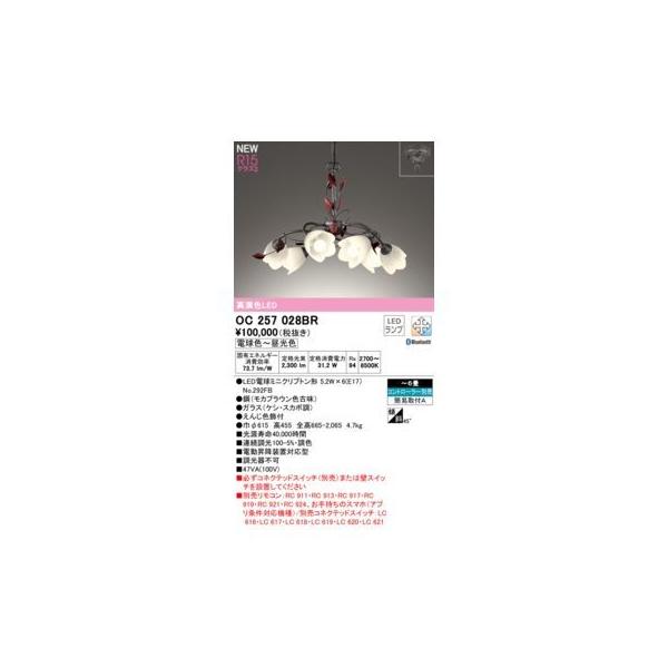 オーデリック ODELIC OC257028BR ランプ別梱包