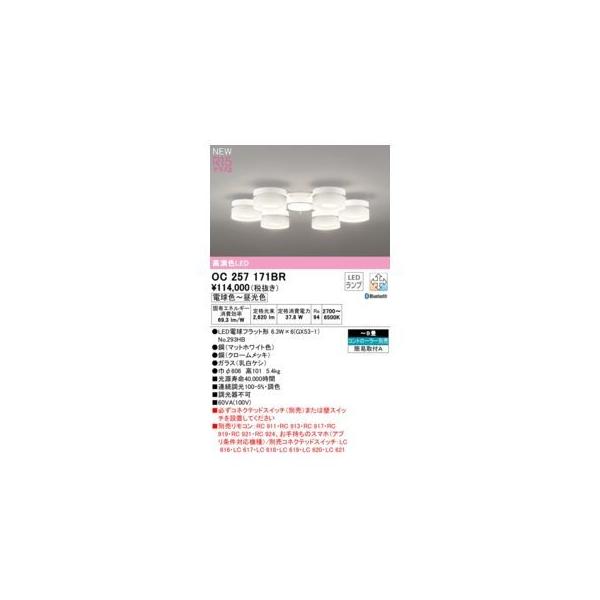 オーデリック ODELIC OC257171BR ランプ別梱包