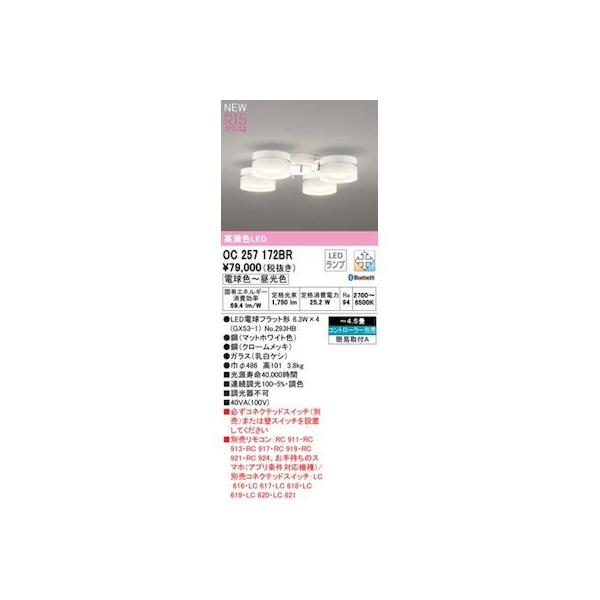 オーデリック ODELIC OC257172BR ランプ別梱包
