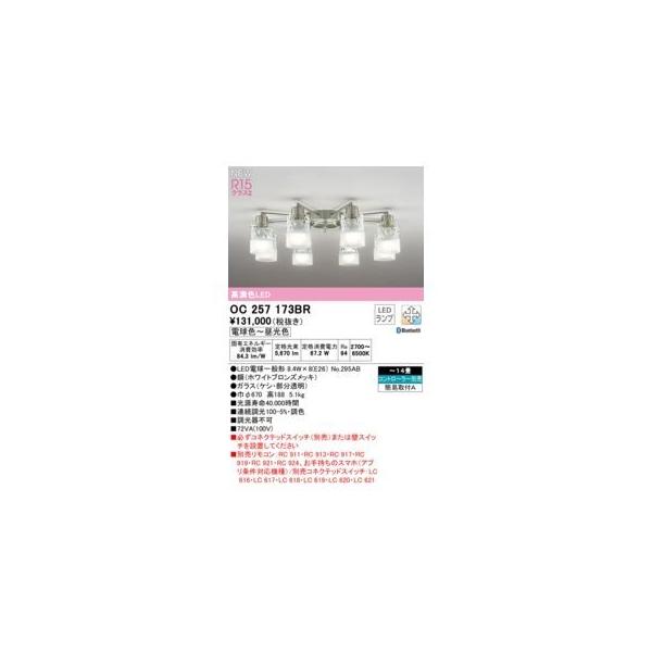 オーデリック ODELIC OC257173BR ランプ別梱包
